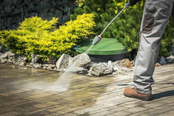 Best Animal Enclosure Cleaning  in Provo, UT