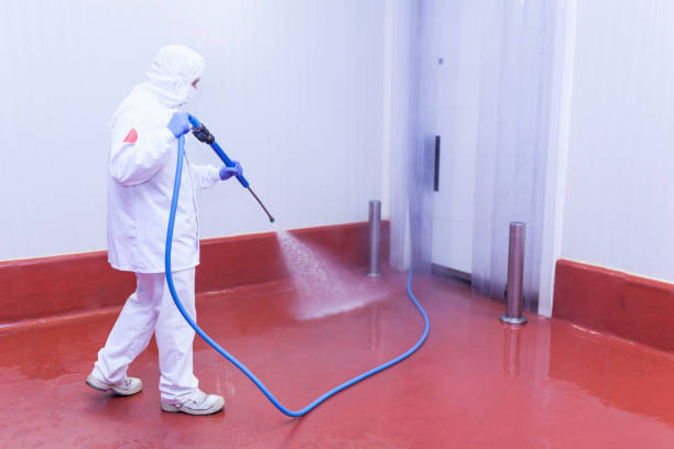 Best Roof Washing  in Provo, UT